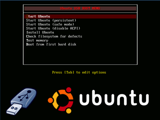 LiveUSB Install - Ubuntu 11.10 ̃XN[Vbg